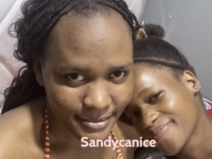 Sandycanice