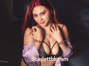 Scarlettblumm