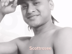 Scottrosee