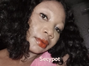 Secypot