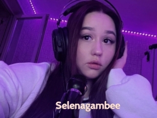 Selenagambee