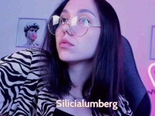 Silicialumberg