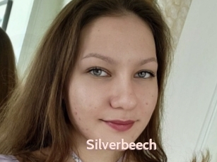 Silverbeech