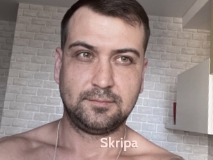 Skripa