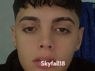 Skyfall18