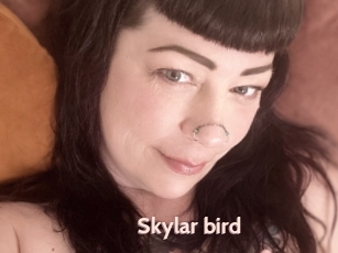 Skylar_bird