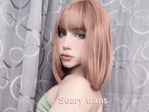 Soary_trans