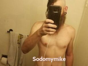 Sodomymike