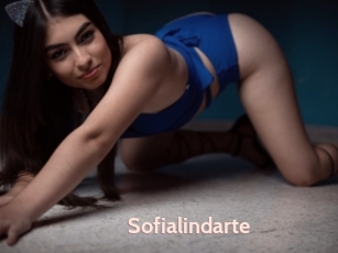 Sofialindarte