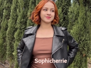 Sophicherrie