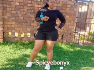 Spicyebonyx