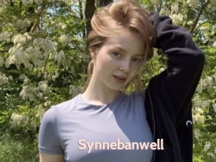 Synnebanwell