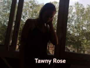 Tawny_Rose