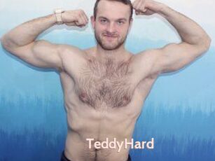 TeddyHard