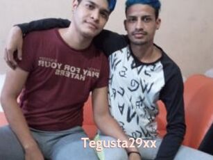 Tegusta29xx