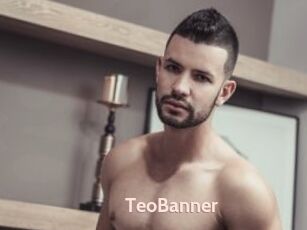 TeoBanner