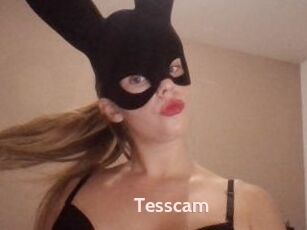 Tesscam