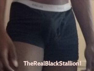 TheRealBlackStallion1