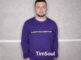 TimSoul