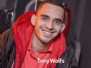 TonyWolfs