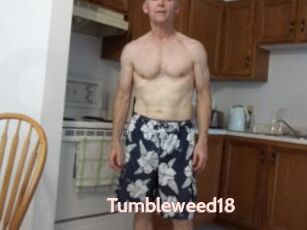 Tumbleweed18