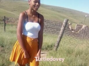 Turtledovey