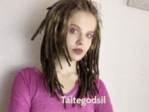 Taitegodsil