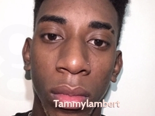 Tammylambert