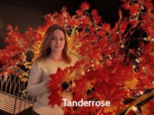 Tanderrose