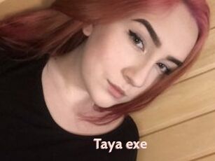 Taya_exe