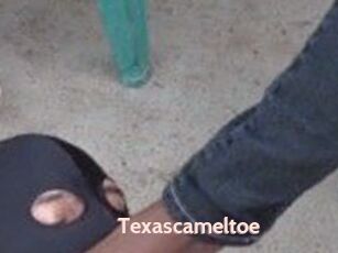 Texascameltoe