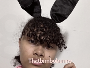 Thatbimbobunny