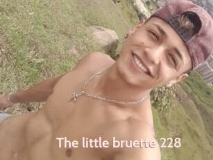 The_little_bruette_228