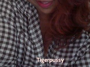 Tigerpussy