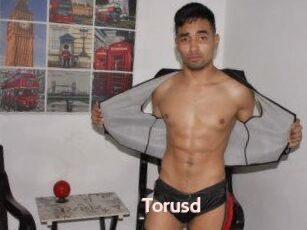 Torusd