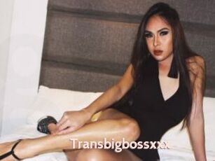 Transbigbossxxx