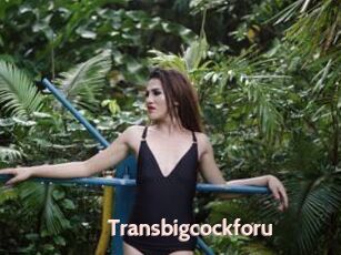 Transbigcockforu