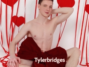 Tylerbridges