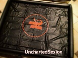 UnchartedSexion