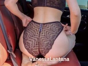 VanessaLantana