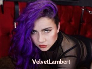 VelvetLambert