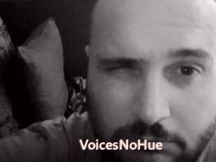 VoicesNoHue