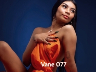 Vane_077