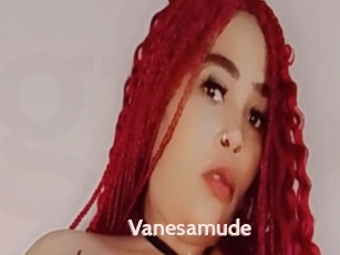 Vanesamude