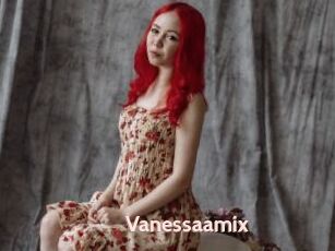 Vanessaamix