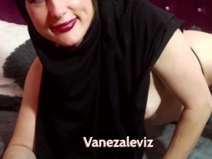 Vanezaleviz