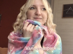 Vannessaspark