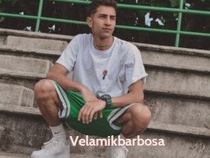 Velamikbarbosa