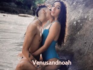 Venusandnoah