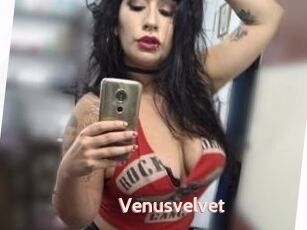 Venusvelvet